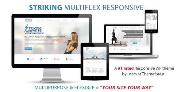 Striking - MultiFlex & Ecommerce Responsive Theme